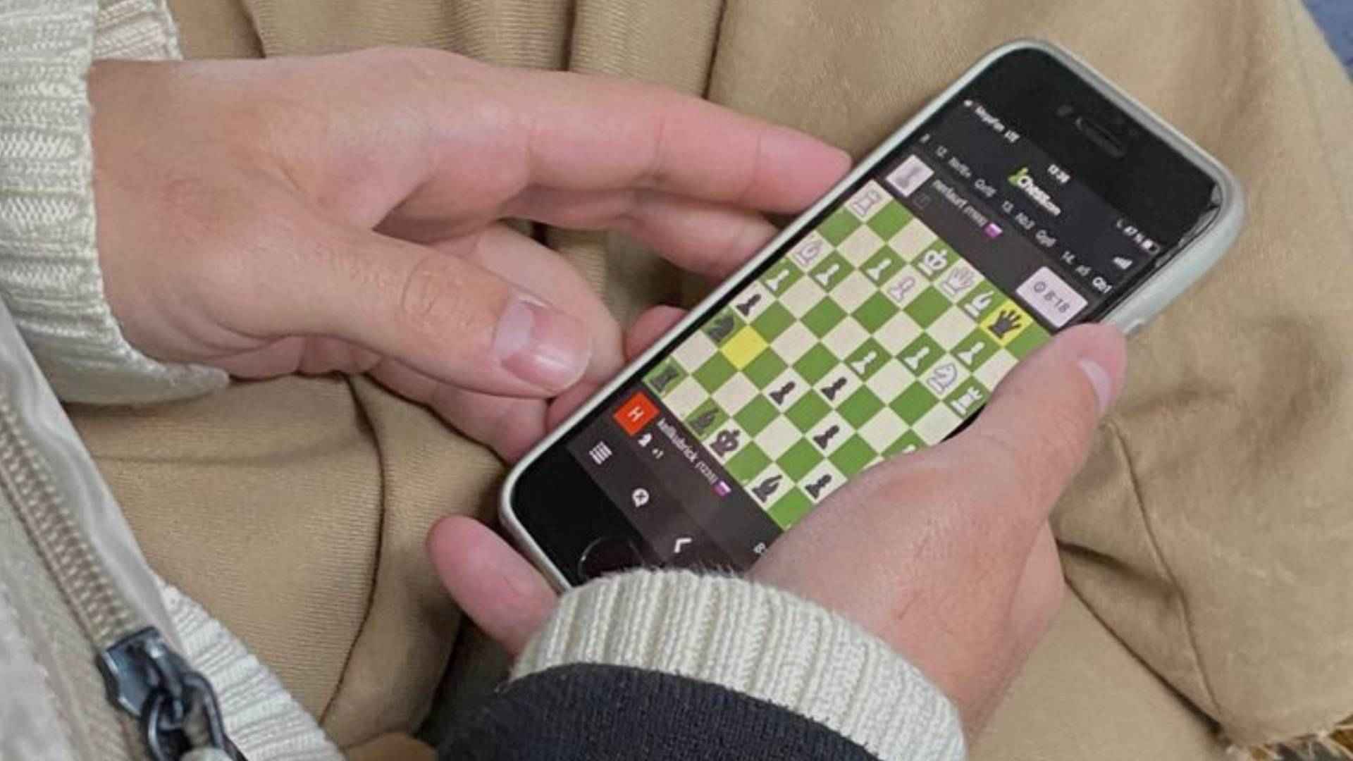 Online Betting Platforms Built for Speed and Convenience